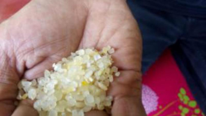 Satu keluarga di Depok, Jawa Barat, keracunan beras plastik 