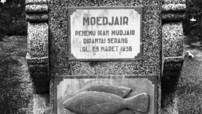 Makam Mbah Moedjair.