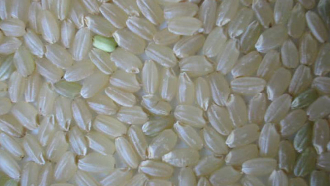 sorot beras plastik (ilustrasi)