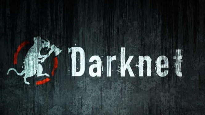 Darknet 05 швеция конопля