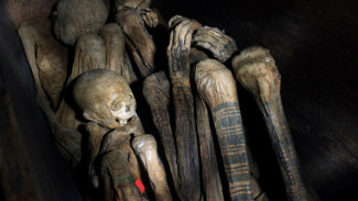The Frightening History of Mummified Meat Utilization in Europe