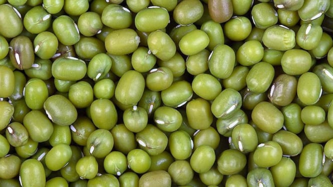 Kacang hijau