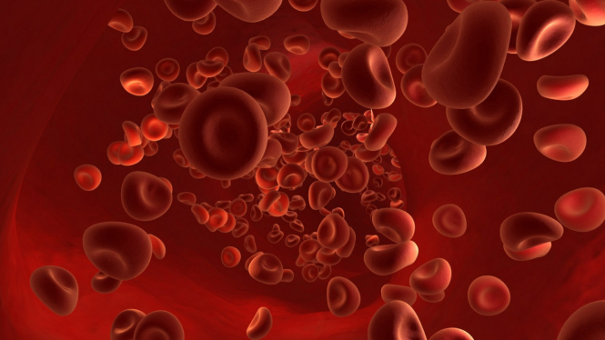 Ilustrasi sel darah merah