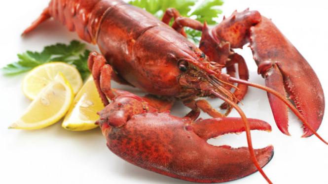 Ilustrasi lobster