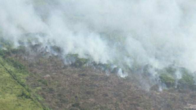 Kebakaran hutan di Riau