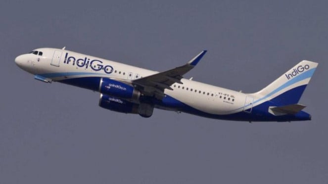 Airporting Indigo (Insider Business)