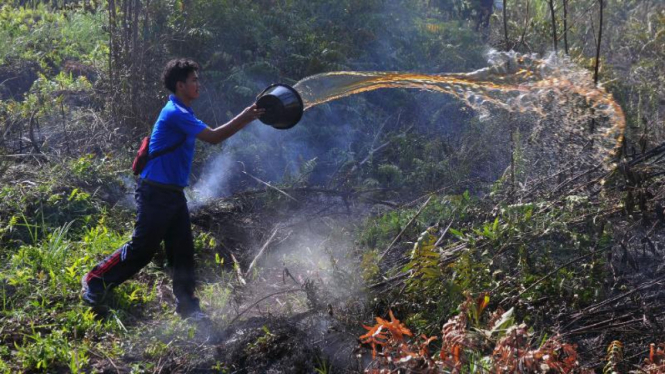 Penanganan kebakaran hutan dan lahan di Riau