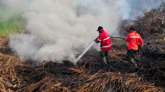 Kebakaran lahan di Riau
