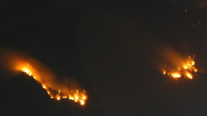 Kebakaran di lereng Gunung Kawi