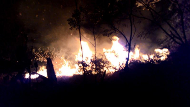 Kebakaran hutan kota Sumenep, 16 Juli 2015.