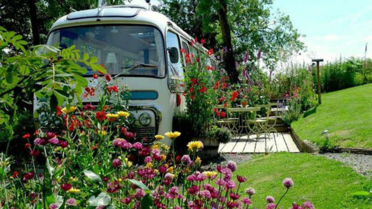 Foto Sensasi Menginap di Karavan Penuh Bunga