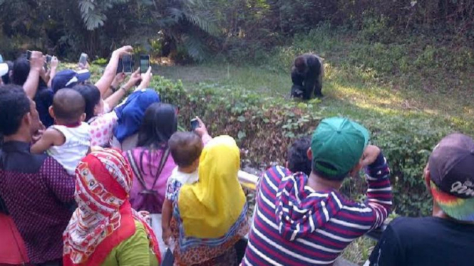 Kebun Binatang Ragunan.