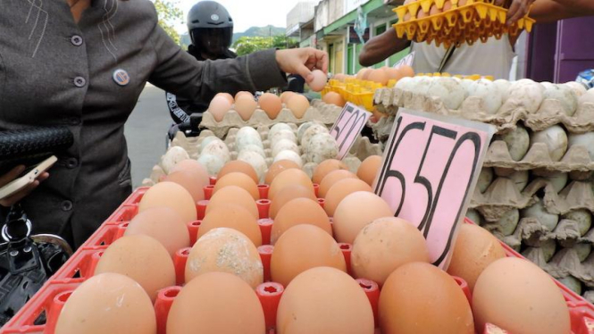 Kios telur ayam di suatu pasar