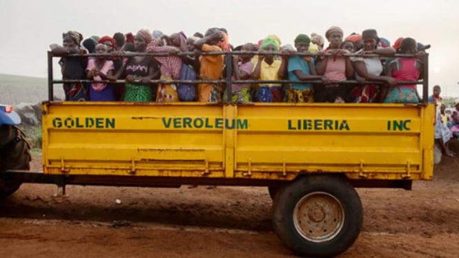 Pekerja perkebunan di Liberia