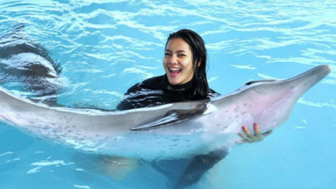 Resor Wake Bali Dolphin di Bali