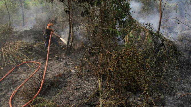 Kebakaran lahan gambut di Indonesia