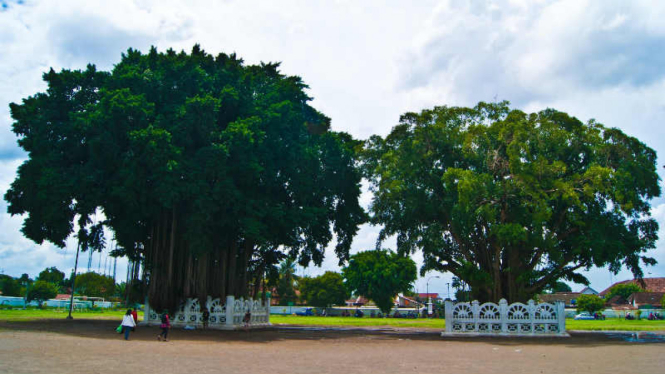 Alun-alun kidul Yogyakarta