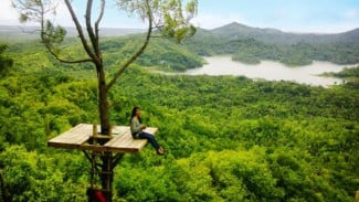 Menikmati Tempat Romantis di Wisata Kalibiru Kulon Progo