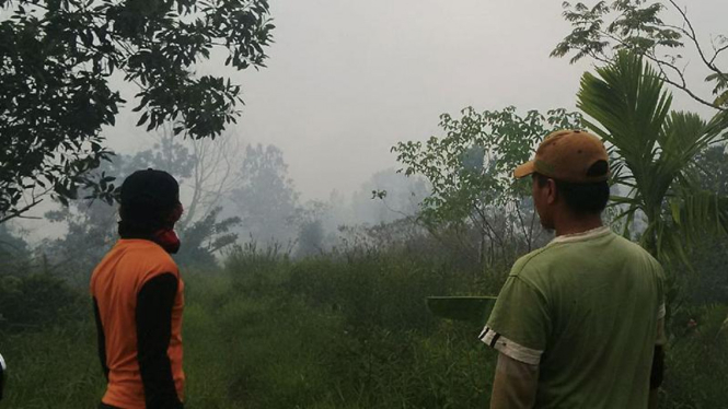 Ratusan Hektare Lahan Terbakar di Kalbar, Dituding Ulah Pengusaha