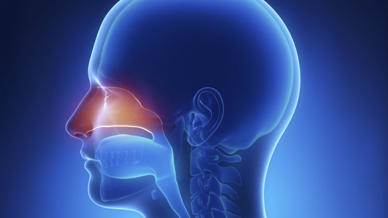 Foto Mengenal Penyakit Sinusitis Dan Bahayanya