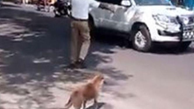 Aksi polisi India seberangkan seekor anjing