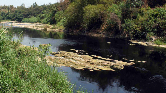 Sungai Cileungsi yang sudah tercemar