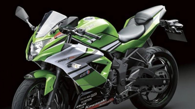 Kawasaki Ninja RR Mono World Superbike Championship