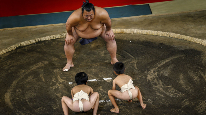 Ilustrasi-Latihan para pegulat sumo