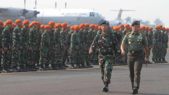 Seribu Pasukan TNI Bantu Pemadaman Kebakaran Hutan