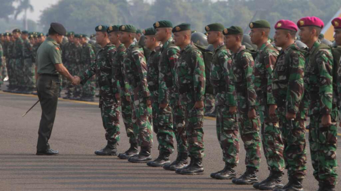 Seribu Pasukan TNI Bantu Pemadaman Kebakaran Hutan