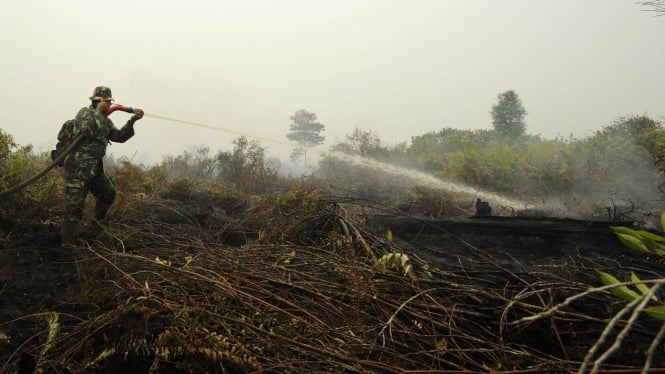 Seorang personel TNI AD dari Kodim 0415-Batanghari mencoba memadamkan kebakaran lahan gambut milik warga di Gambut Jaya, Muaro Jambi, Jambi, Kamis (10/9)
