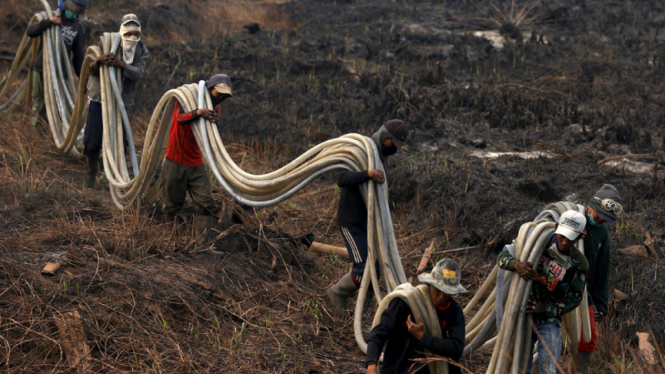 Upaya Pemadaman Kebakaran Lahan di Sumatera Selatan