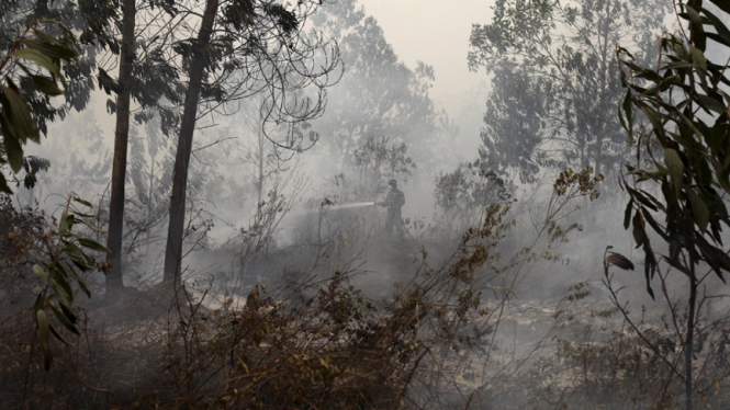 Upaya Pemadaman Kebakaran Lahan di Sumatera Selatan