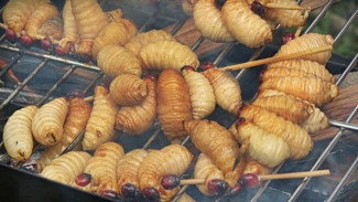 Tujuh Makanan Khas Indonesia yang Terbuat dari Serangga