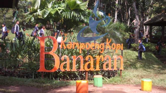 Menikmati Wisata Kampoeng Kopi Banaran Jawa Tengah Viva