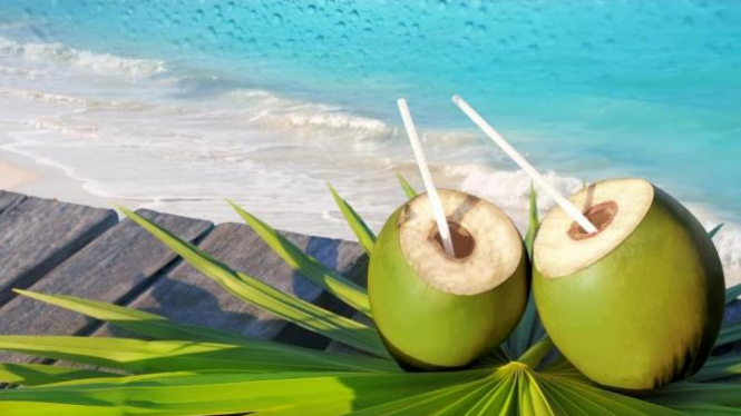 Cepat Atasi Asam Lambung Dengan Air Kelapa Viva