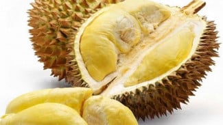 Empat Fakta Menarik Tentang Durian