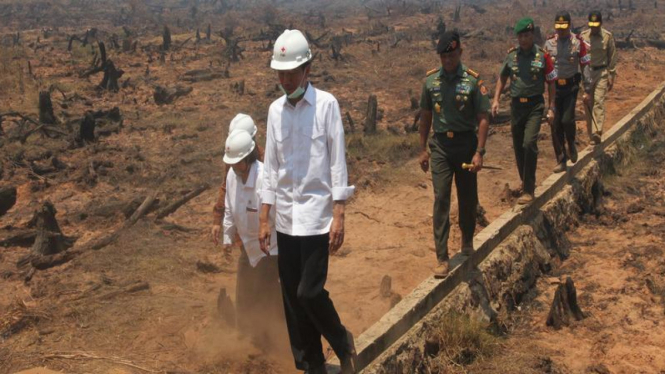 Presiden Joko Widodo meninjau lokasi kebakaran hutan dan lahan
