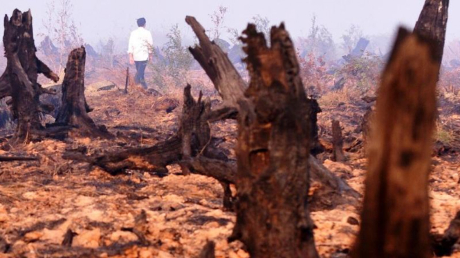 Presiden Joko Widodo meninjau kebakaran hutan di Kalimantan Tengah