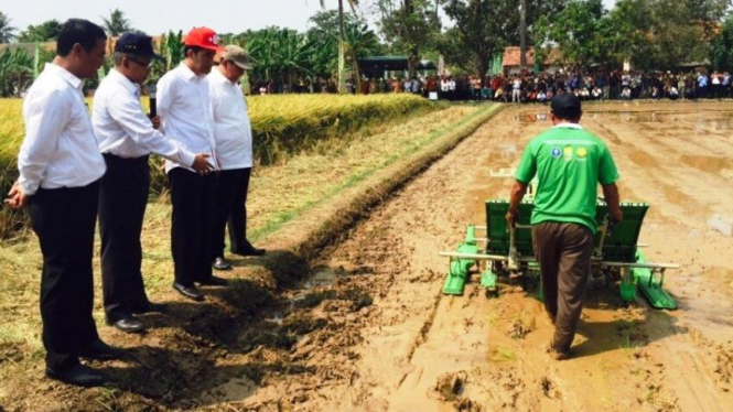 Presiden Joko Widodo meninjau panen di Cikarang