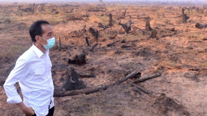 Presiden Joko Widodo pantau lokasi kebakaran hutan