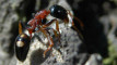 Photo Mini 1