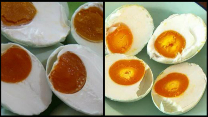 Ilustrasi telur asin
