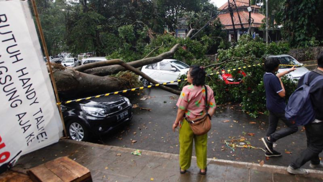 Pohon tumbang akibat hujan dan angin kencang di Bandung