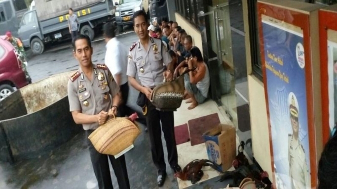 Polisi menunjukkan barang bukti judi sabung ayam di Depok
