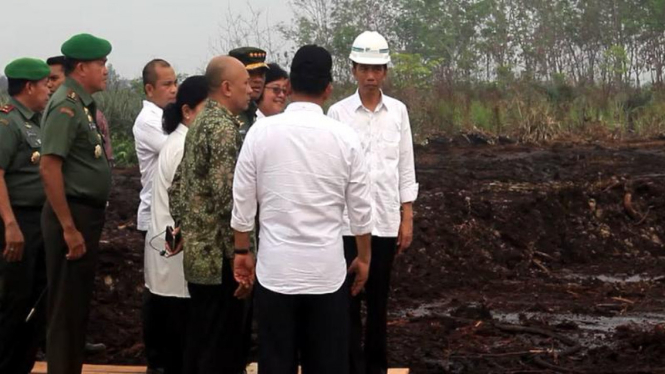 Presiden Joko Widodo saat meninjau lokasi kebakaran hutan