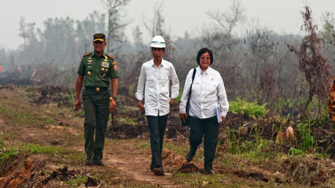 Presiden Jokowi meninjau kabut asap di Riau