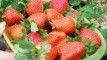 Photo Mini 1