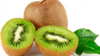 Manfaat Kesehatan Kiwi yang Jarang Diketahui