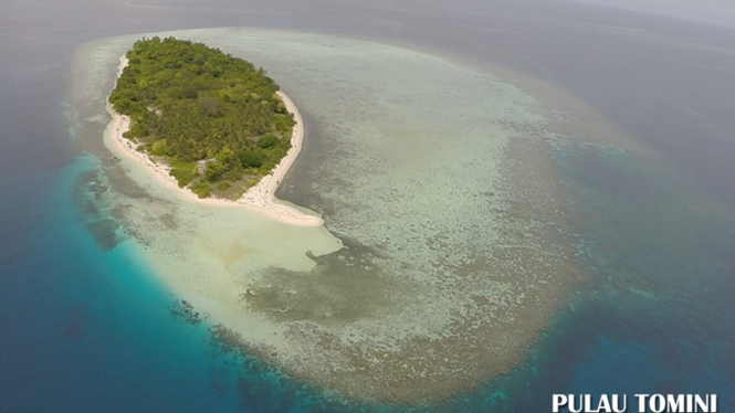 Teluk Tomini dan Parigi Moutong 